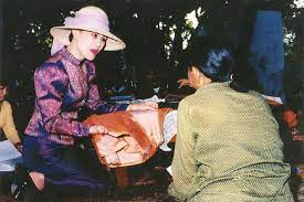 โครงการคืนช้างสู่ธรรมชาติ