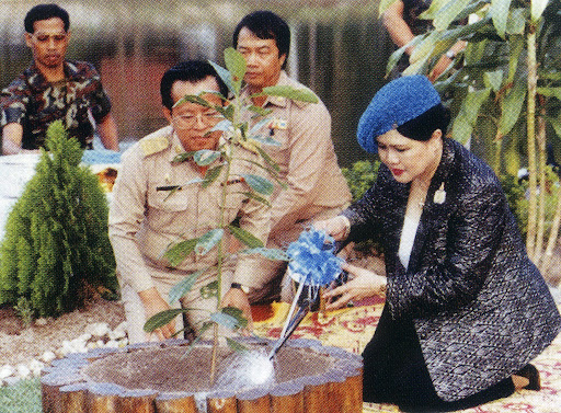 โครงการป่ารักน้ำ